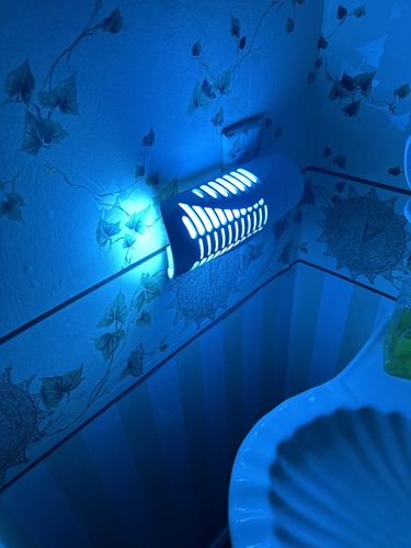 Customer photo review of Shieldeck® BuzzTrap - Plug-In Indoor Insect Smart UV Trap