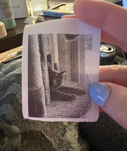 Customer photo review of ThermaPrint™