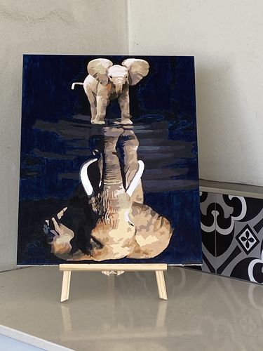 Customer photo review of Elephant Self Reflection