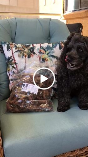 Customer video review of Chicken Necks