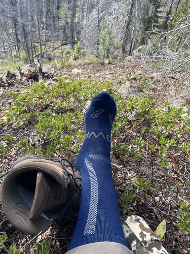 Customer photo review of The Alpaca Socks