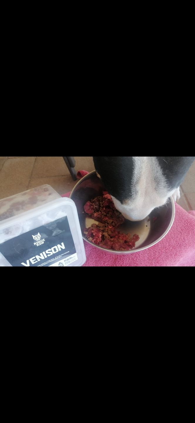 Customer photo review of Primal Venison - Raw Free ranged for dogs and cats