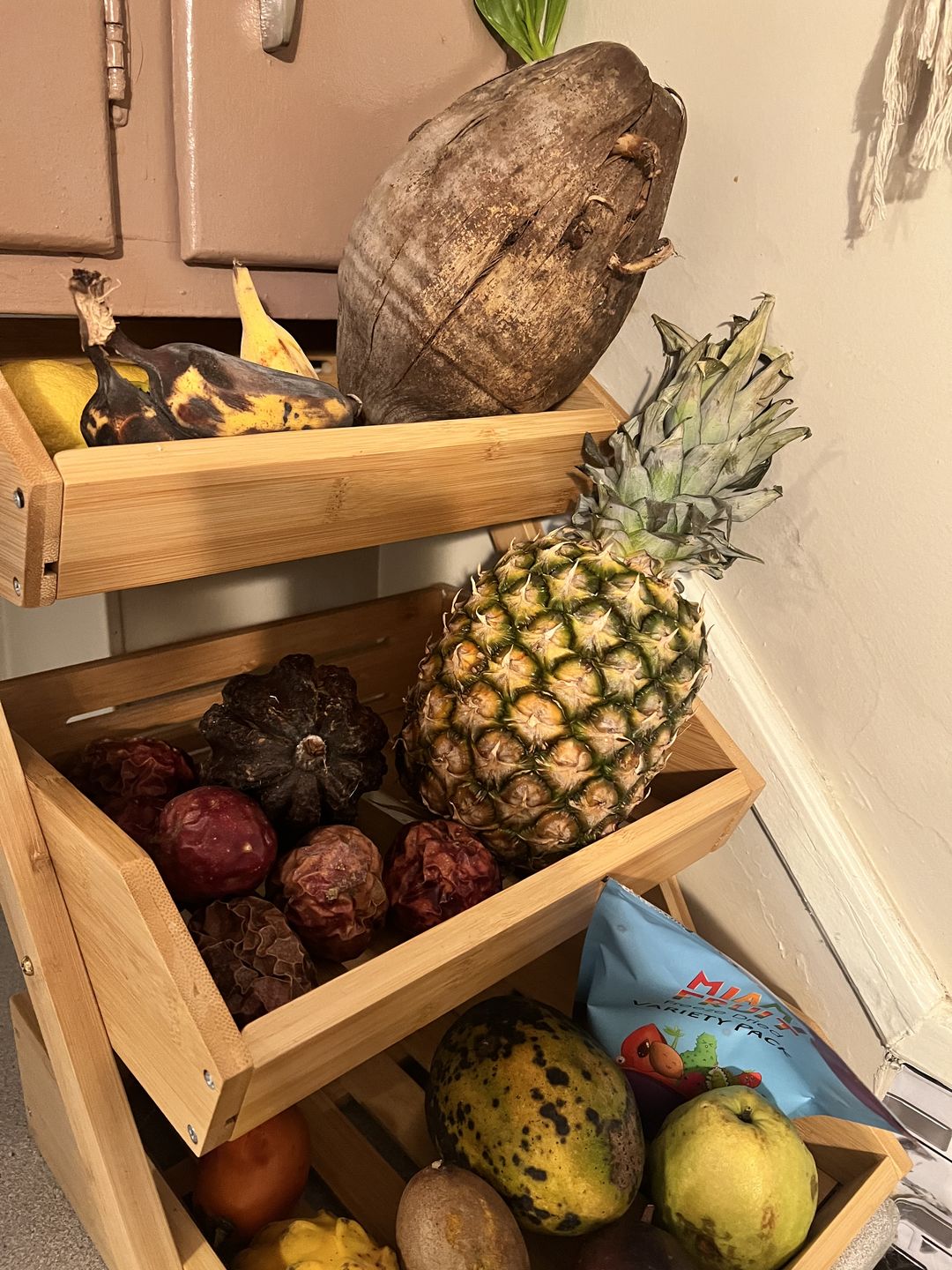 Customer photo review of Leftovers Box