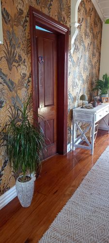 Customer photo review of Capetown Jungle Wallpaper - 4 Colours