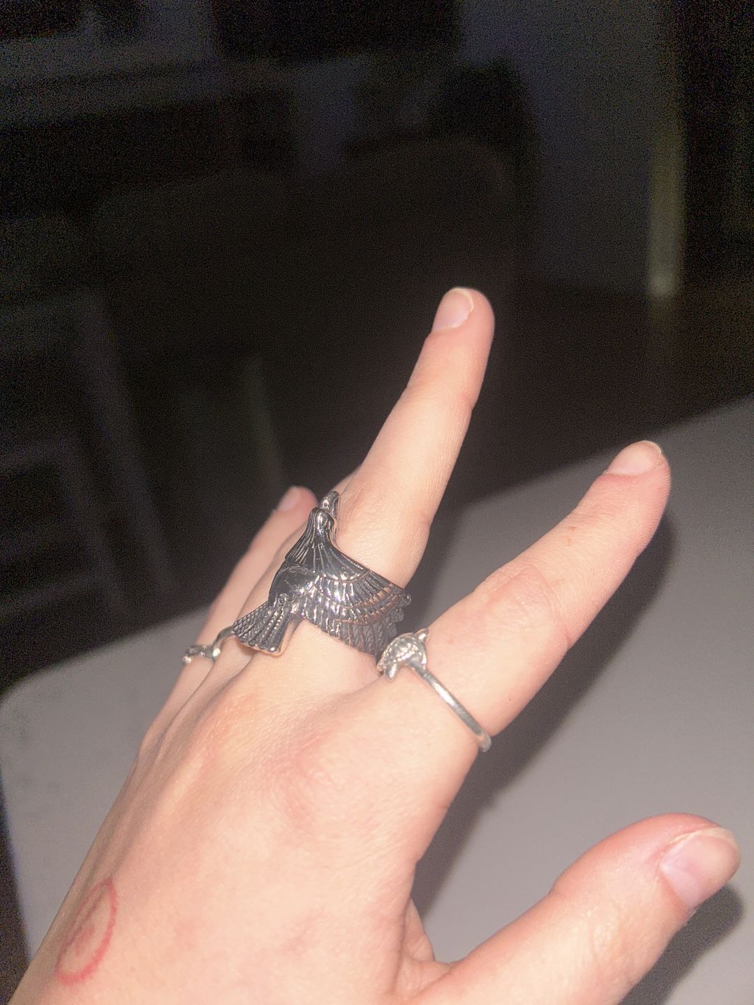 Customer photo review of FREEDOM. - SILVER