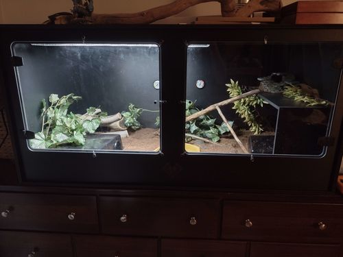 Customer photo review of XT4 BIO (48Lx24Dx24H) - STACKABLE
