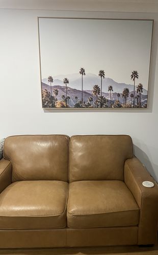 Customer photo review of Palm Springs | California | Framed Canvas
