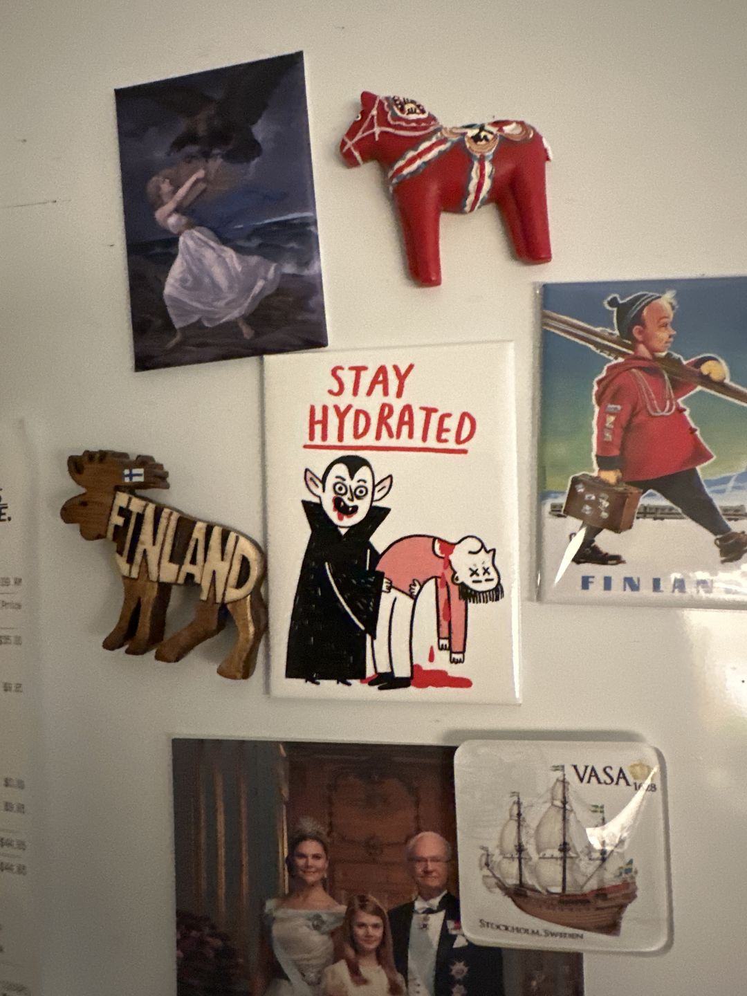 Customer photo review of Stay Hydrated Vampire Rectangle Magnet by Gemma Correll
