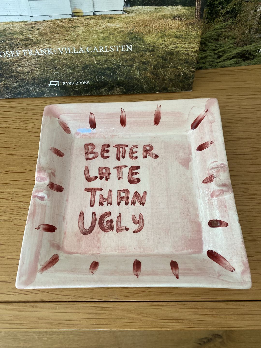 Customer photo review of "Better Late than Ugly" catchall