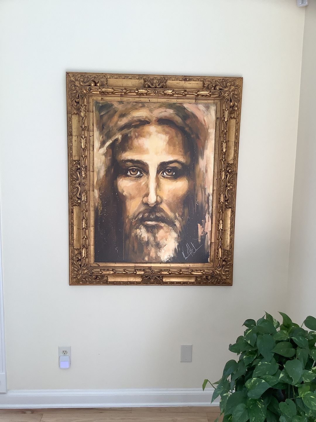 Customer photo review of The Shroud of Turin - Resurrection Light