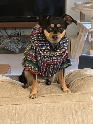 Customer photo review of Playa Poncho - Surprise Color