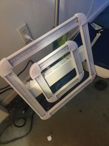 Customer photo review of Square 2 LED Grow Light. 220W. High Output. 2'x2'. With Far Red Too.