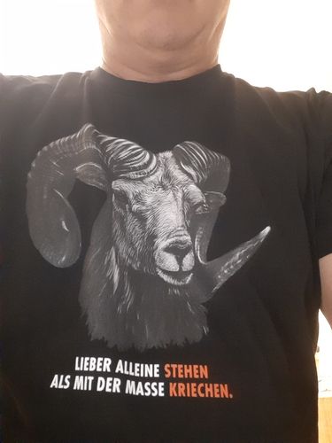 Customer photo review of QUERLEUGNER ORGANIC SHIRT BUBEN • LIEBER ALLEINE STEHEN ALS MIT DER MASSE KRIECHEN