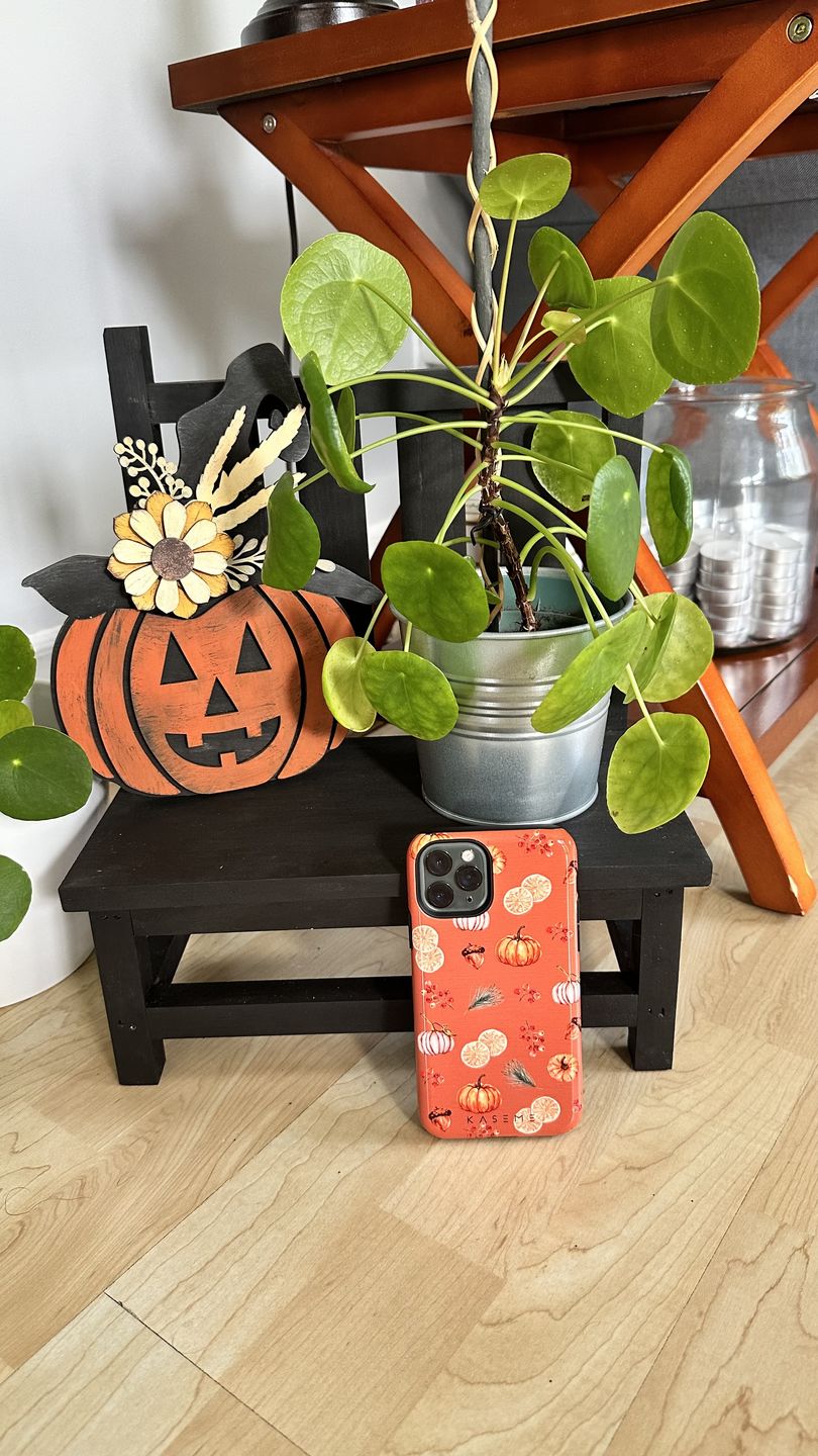 Customer photo review of Pumpkin Garden Orange