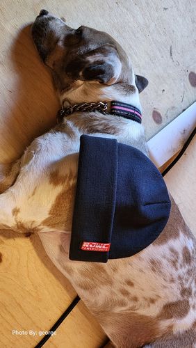 Customer photo review of Knitted beanie, charcoal