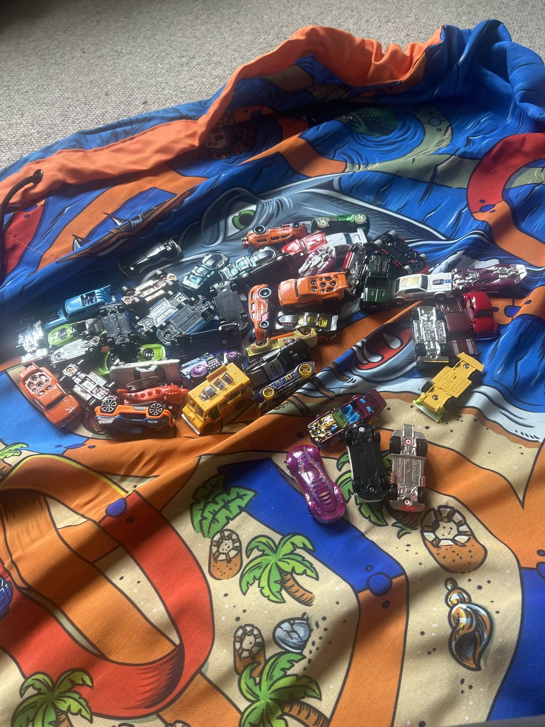 Customer photo review of Hot Wheels® Play Pouch