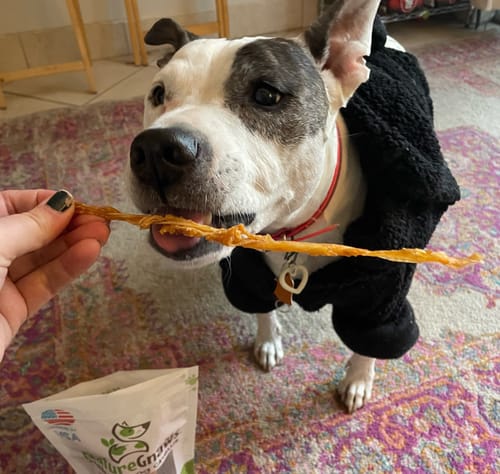 Customer photo review of USA Made Turkey Tendon Chews