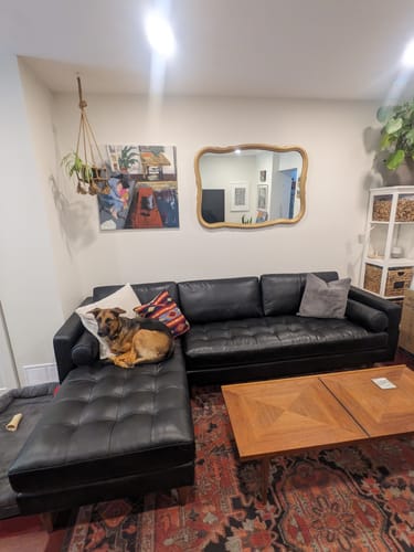 Customer photo review of Holland Left Sectional