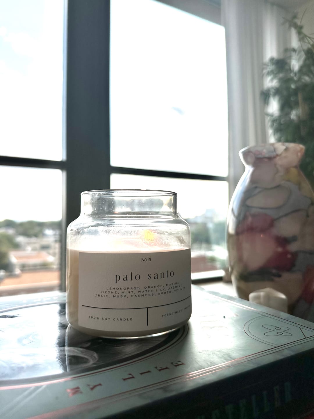 Customer photo review of Palo Santo 22 OZ GLASS CANdLE