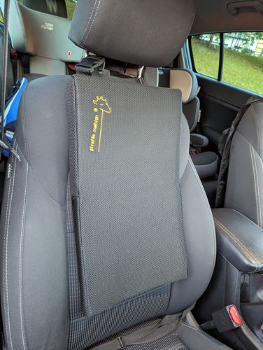 Customer photo review of Giraffe Cushion