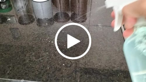 Customer video review of Dazz Spray Collection