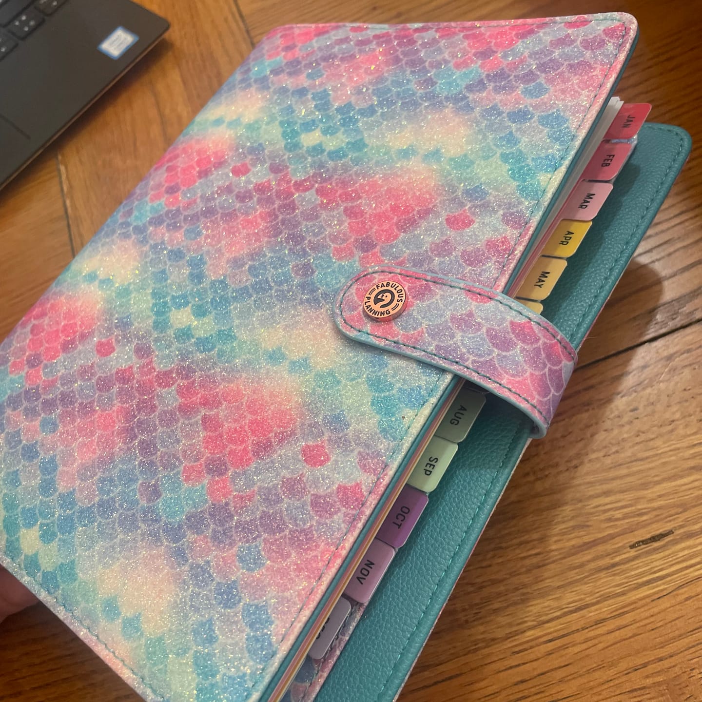 Customer photo review of Tabbed Dividers Organiser Inserts
