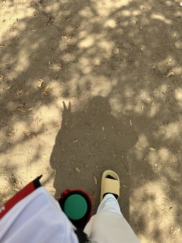 Customer photo review of Comfii™ Air Slide