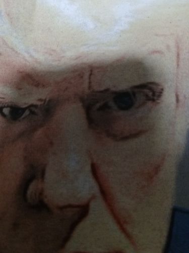 Customer photo review of Trump Mugshot T-Shirt