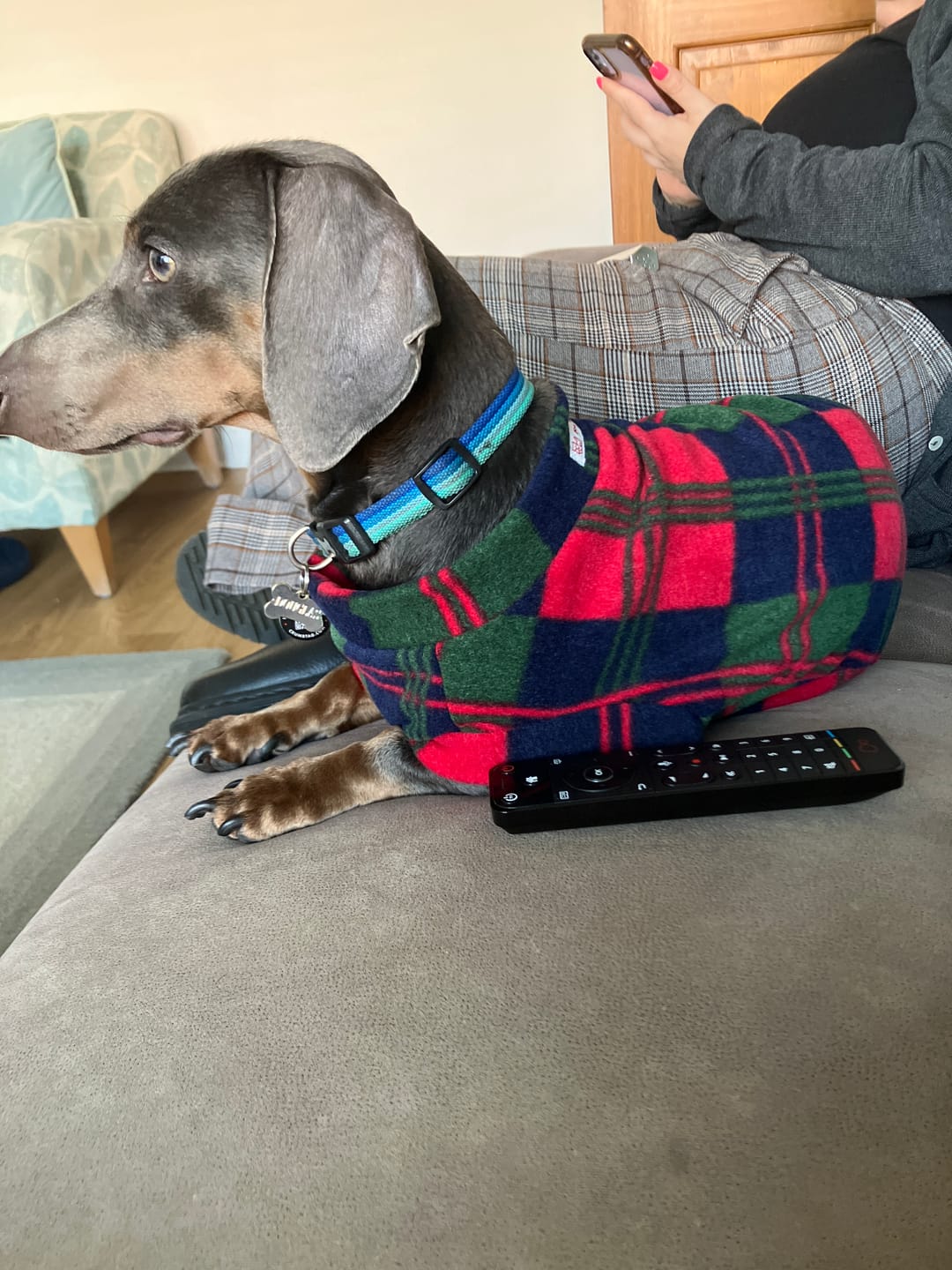 Customer photo review of Red Checkered Anti Pill Polar Fleece Fabric