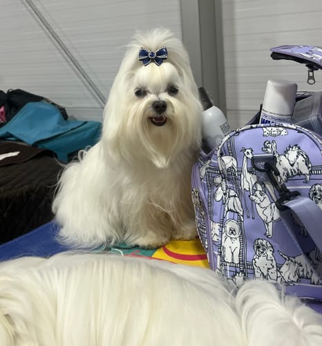 Customer photo review of I'm So Silky Shampoo