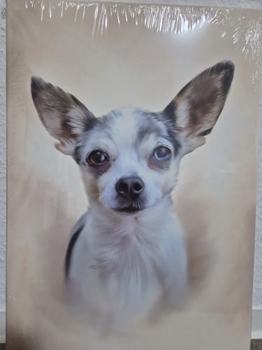 Customer photo review of Öl Pawtrait