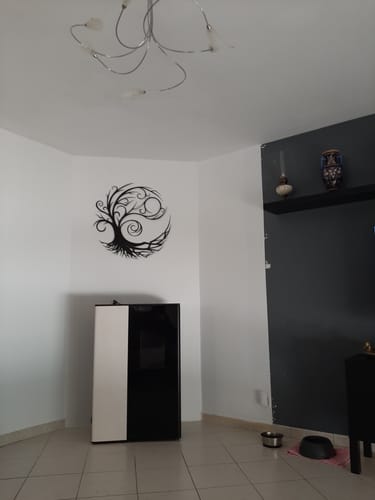 Customer photo review of Arbre de vie T2