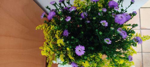 Customer photo review of Blütenbox Lenya