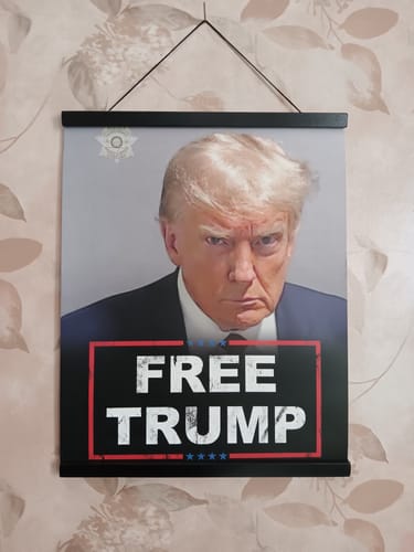 Customer photo review of Trump Mugshot 16" x 20" Poster