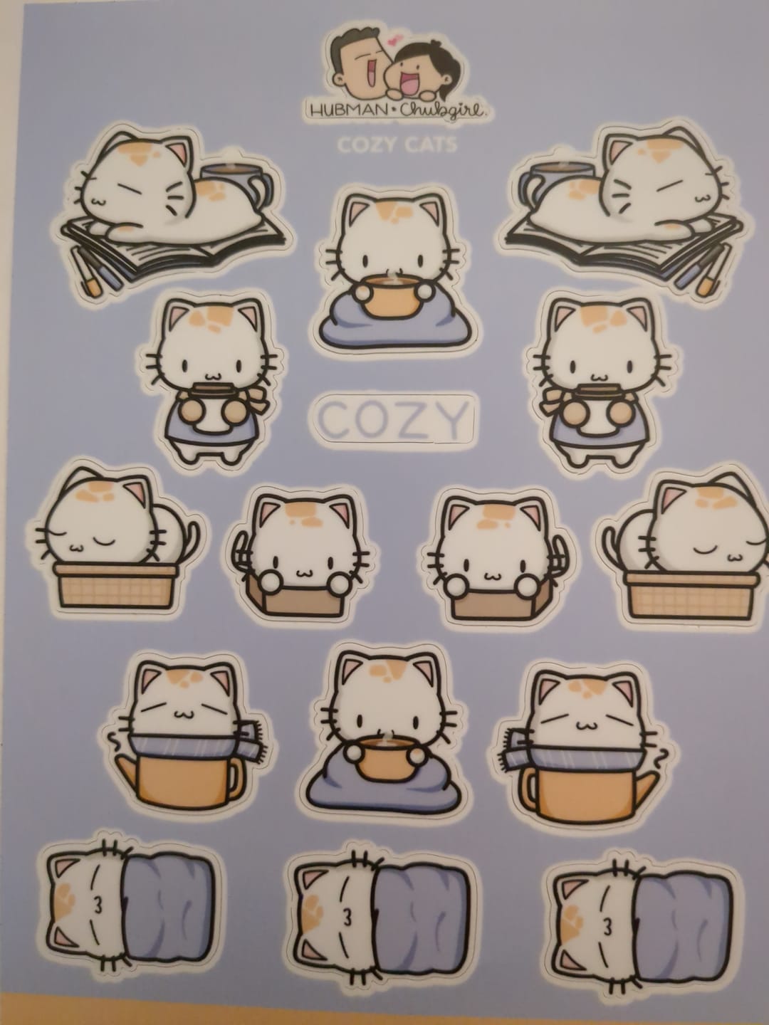 Customer photo review of Sticker Sheet - Cozy Cats