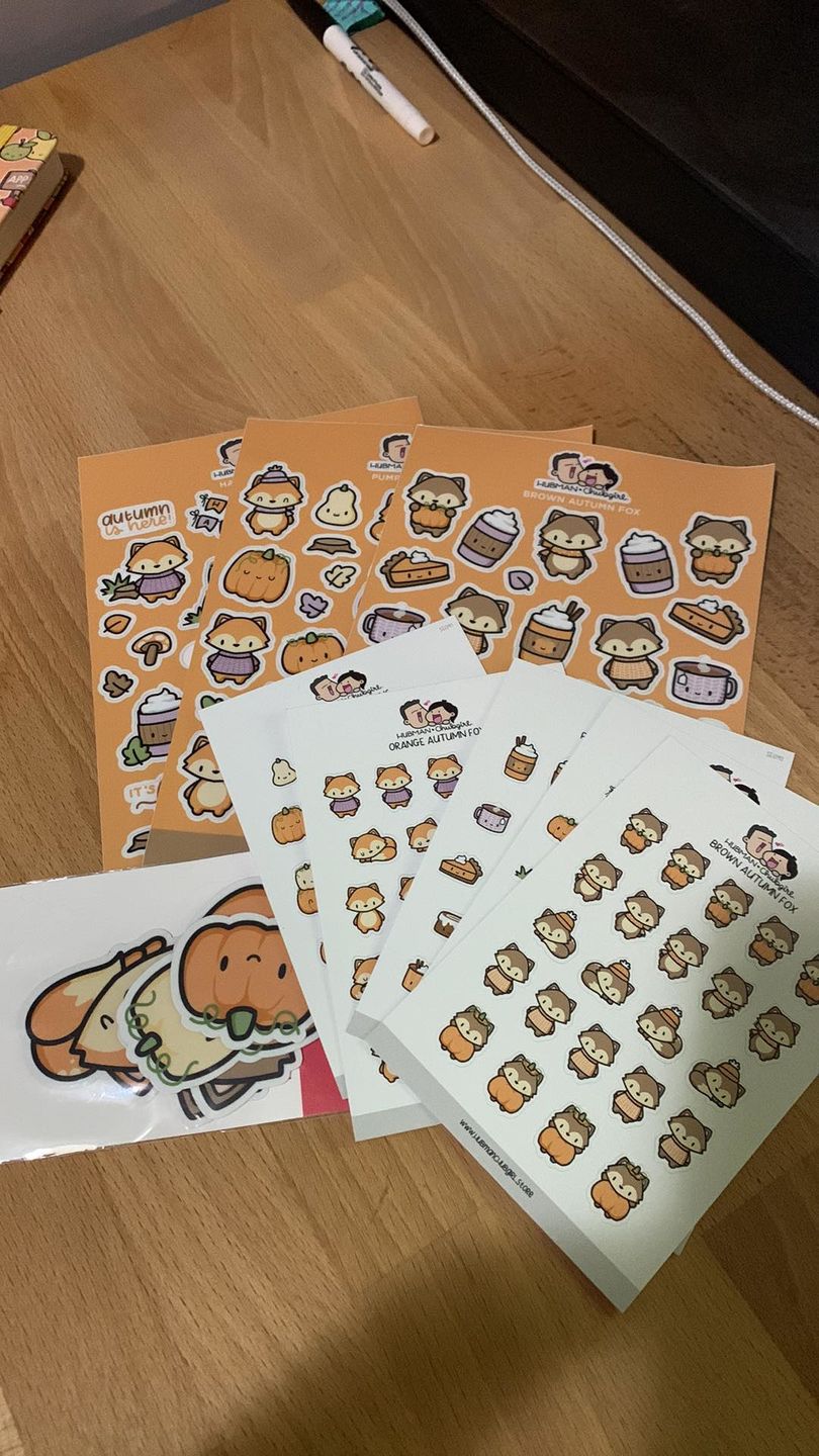 Customer photo review of Autumn Bundle