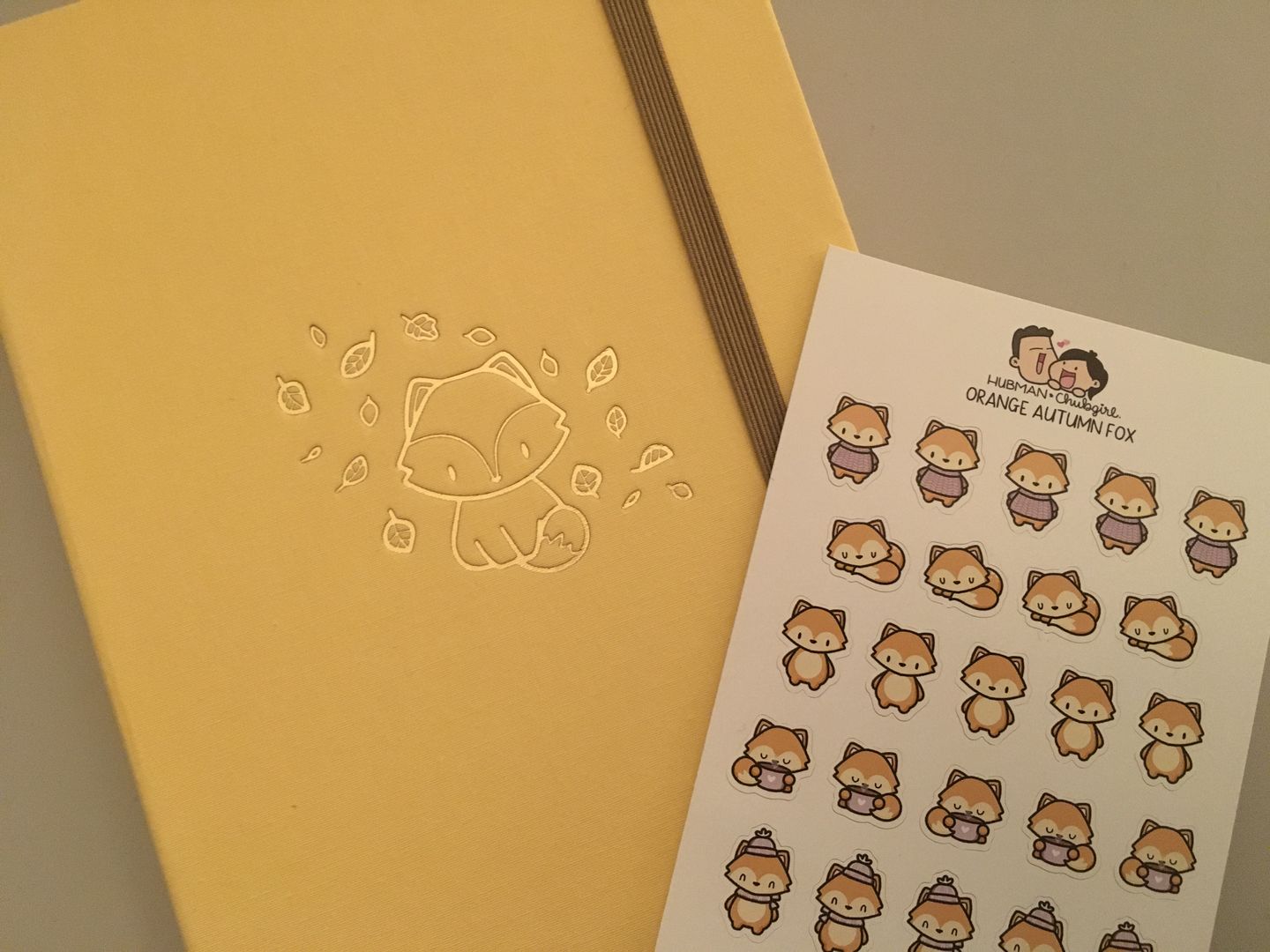 Customer photo review of Orange Autumn Fox Planner Stickers