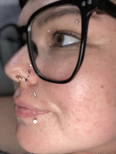 Customer photo review of Titanium Micro Gem Hinged Nose Hoop