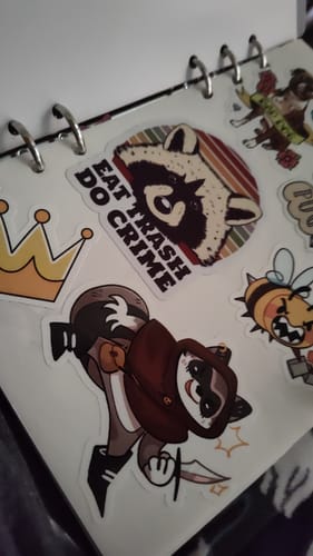 Customer photo review of D&D Raccoon Stickers!