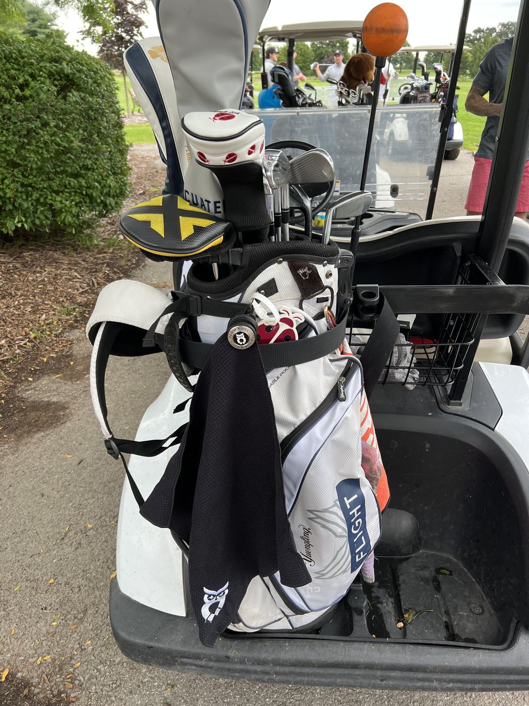 Customer photo review of MagnetOwl