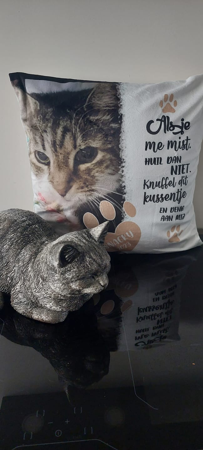 Customer photo review of Als je me mist - Gepersonaliseerd kussen
