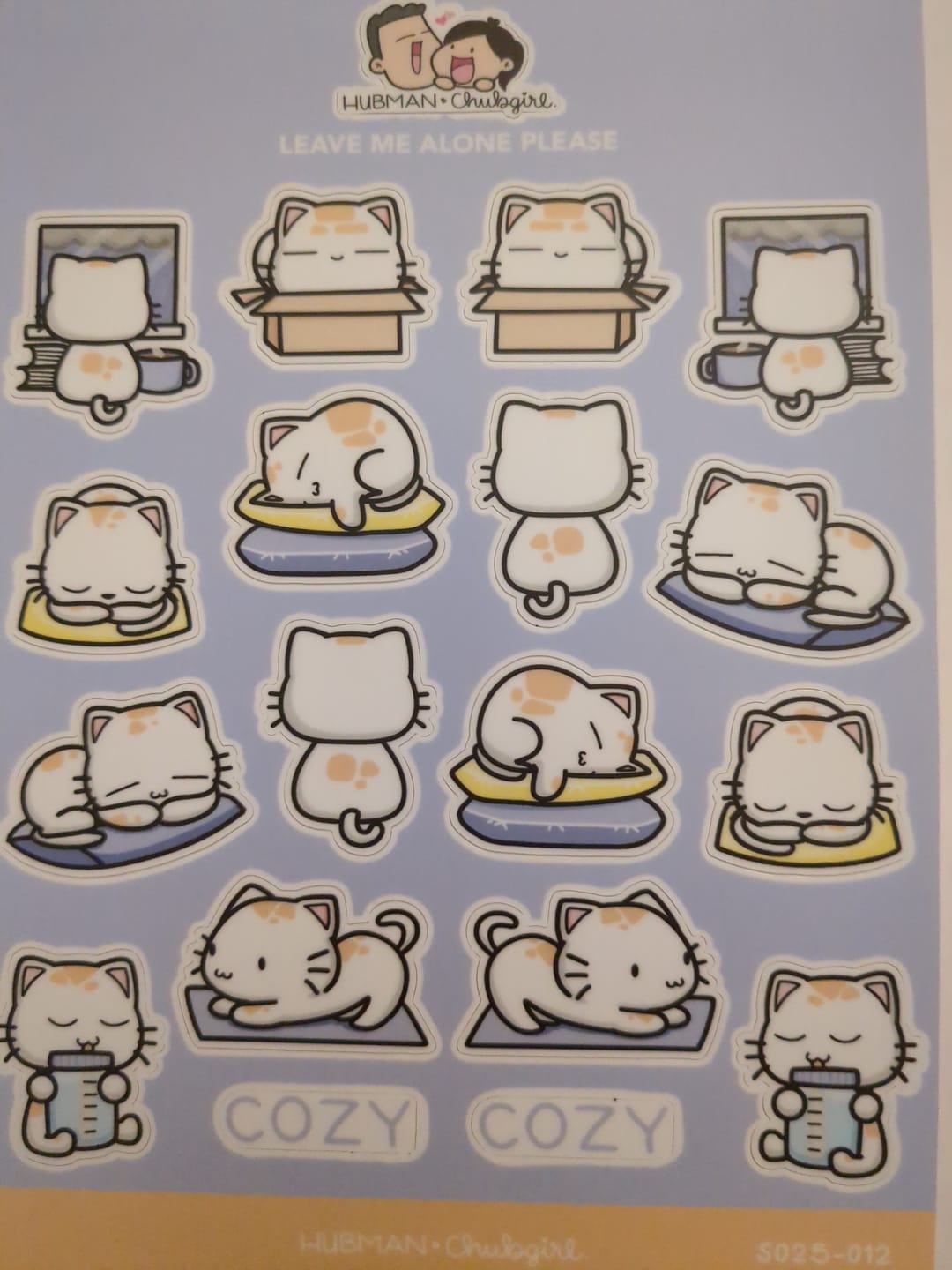 Customer photo review of Sticker Sheet - Leave Me Alone Please