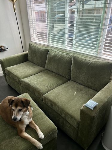 Customer photo review of Track Sofa