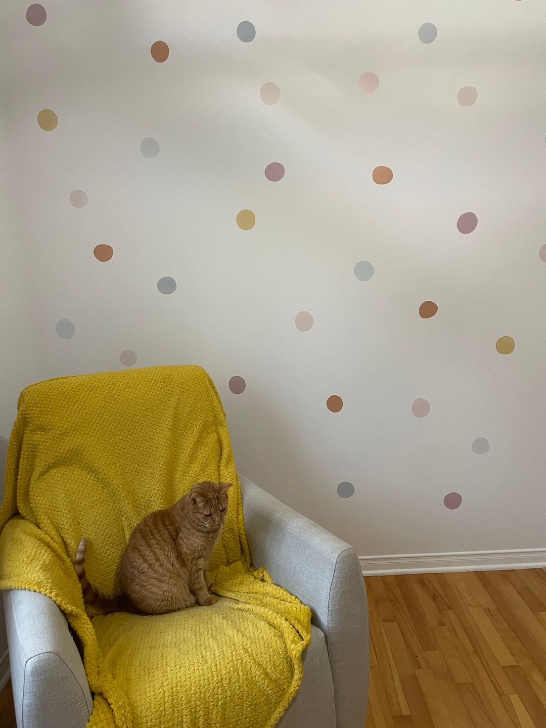 Customer photo review of Neutral Dots