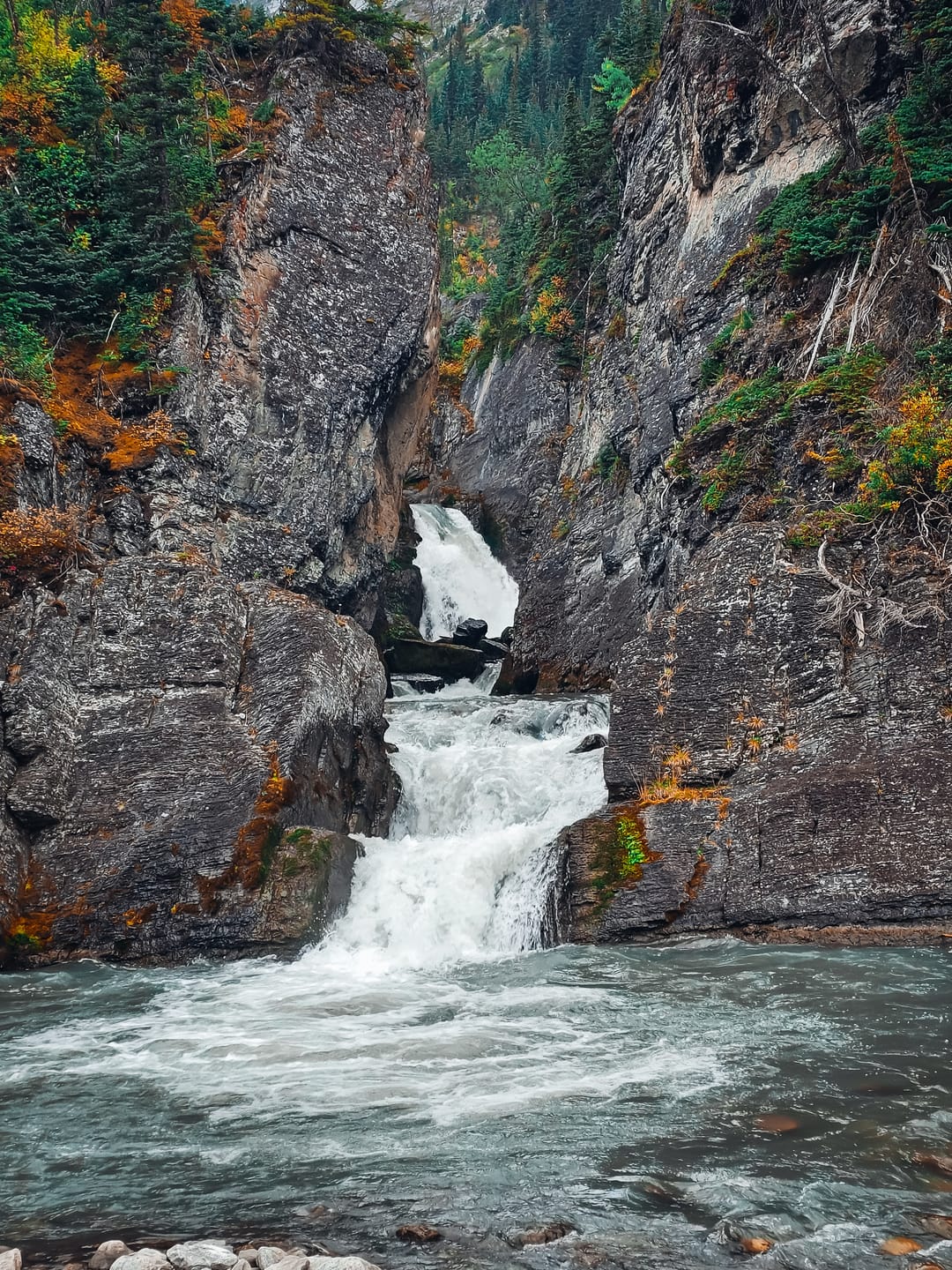 Customer photo review of NATURE LIGHTROOM PRESETS