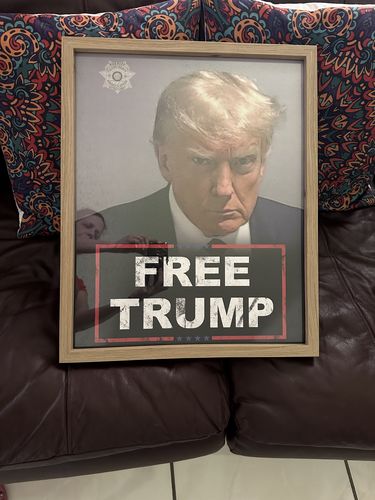 Customer photo review of Trump Mugshot 16" x 20" Poster