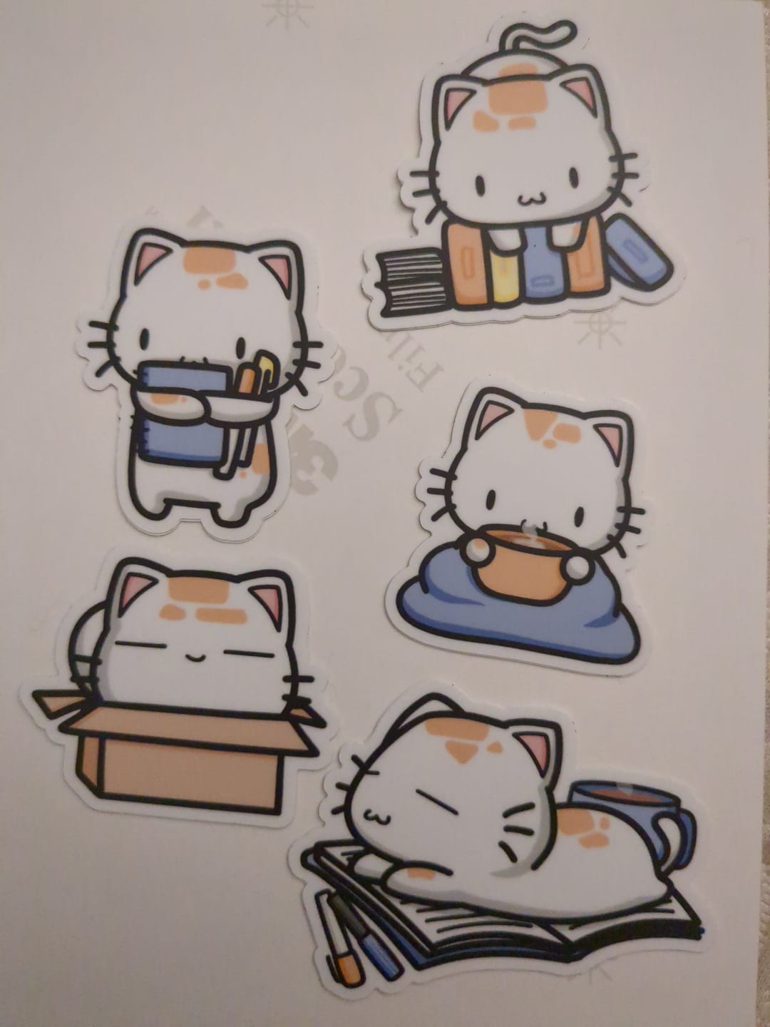 Customer photo review of Cozy Cat Die Cut Stickers