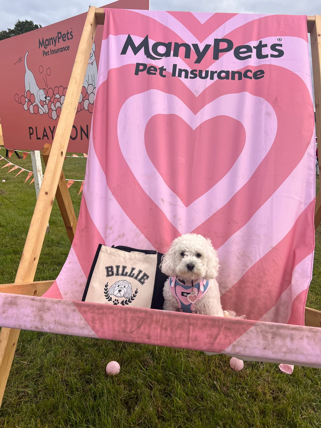 Customer photo review of Ulti-MUTT Dog Jute bag