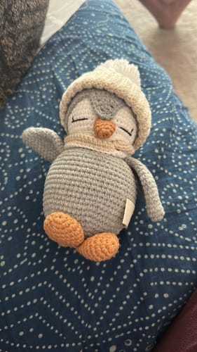 Customer photo review of Everest the Penguin
