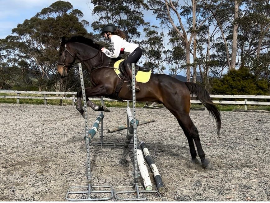 Customer photo review of Digestive VM - Equine Minerals & Vitamins